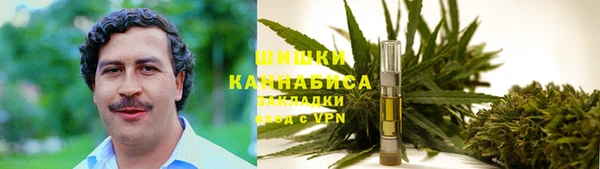 шишки Аркадак