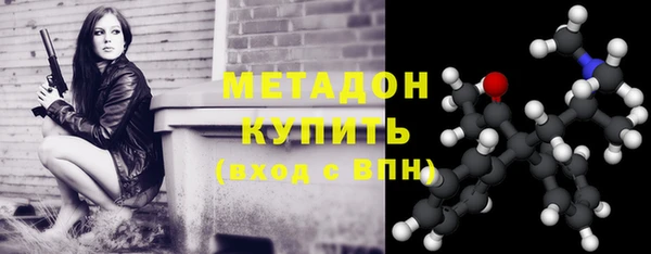 шишки Аркадак