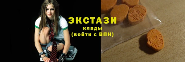 шишки Аркадак