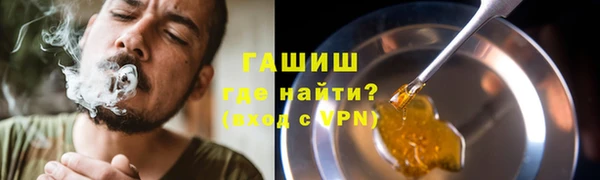 шишки Аркадак