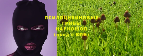 шишки Аркадак