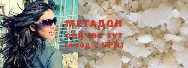 шишки Аркадак