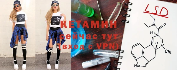 шишки Аркадак
