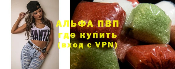 шишки Аркадак