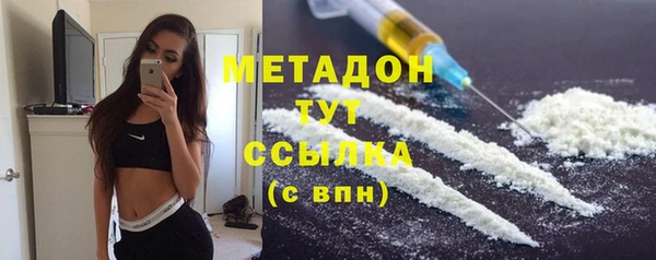 шишки Аркадак
